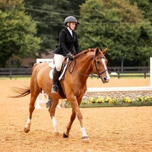 Meet your Posher, Audrey